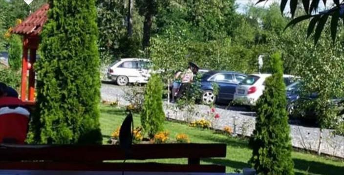 Гостевой дом Pensiunea Poiana Avrigului Авриг
